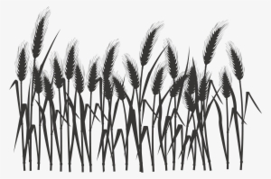 Silhouette Black And White - Wheat Field Silhouette Png