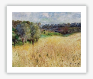 Wheatfield - Wheat Field Renoir