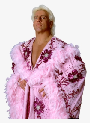 Wwe Ric Flair Mask Officially Licensed Nature Boy Trick - Ric Flair Wwe 20x24 Photo Poster Wearing Pink Robe