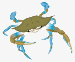 Blue Crab Drawing - Blue Crab Vector Png