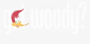 Woody Woodpecker Got Woody Men's Tall Fit T-shirt - Arctic Tern