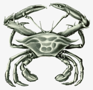 Free Clipart Of A Crab - Art Print: Funky's Crabs On Black In 2 Panels, 61x46cm.