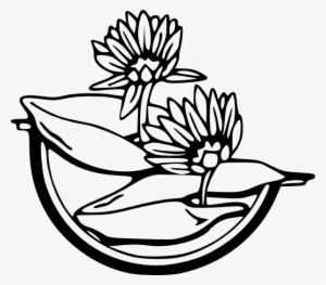 Water Lily Svg Clip Arts 600 X 526 Px