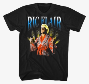 Ric Flair Shirts Officially Licensed Free Shipping - 7 Years Of College Down The Drain