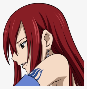 Download Png - Fairy Tail Erza Profile
