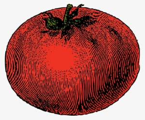 Tomato Png Images 600 X