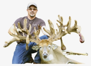 Guaranteed Deer Hunts With - Elk
