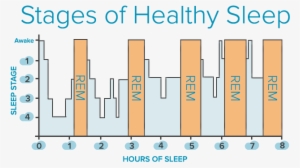 What Is Rem Why Does It Matter - Stages Of Sleep