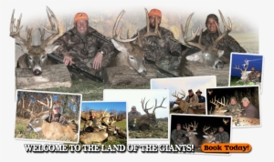 Trophy Whitetail Deer Hunting In Adams & Hancock County, - Illinois