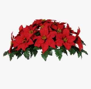 Share This Image - Christmas Poinsettias Images Png