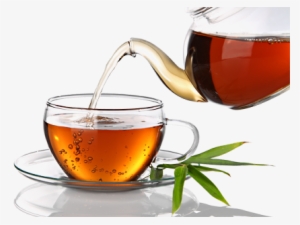 Garden To Your Cup - Cup Of Rooibos Tea
