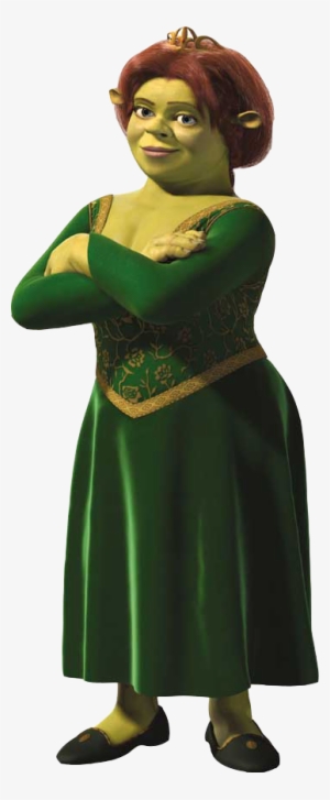 Shrek And Fiona Costume, Shrek Costume, Fiona Shrek, - Princess Fiona