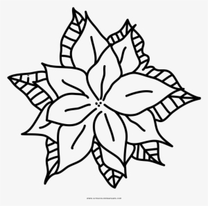 Poinsettia Coloring Page - Drawing