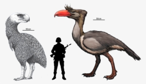 I Know The Timeline/locale Isn't Right, But Fuck It - Terror Bird Vs Human
