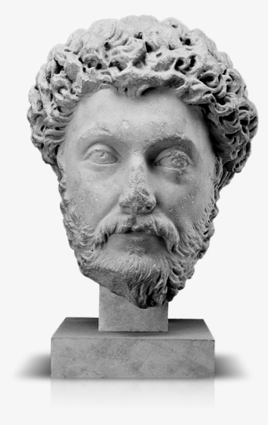 Bust
