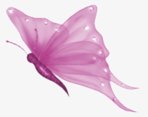 Pink Butterfly Png - Transparent Background Butterfly Clipart
