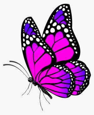 Butterfly Clip Art Image