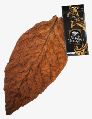 Natural Tobacco Leaf