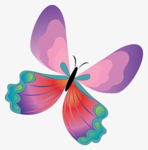 Purple Pink Butterfly - Vector Butterfly