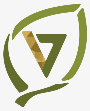 V7 Tobacco Leaf - Calligraphy