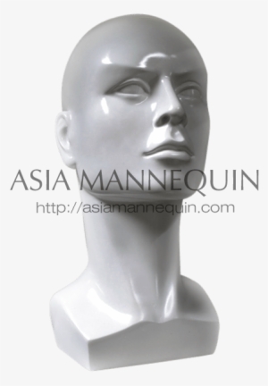 Head & Bust Mannequins - Bust