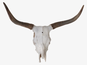 Longhorn Vector Skull - Longhorn Skull Png
