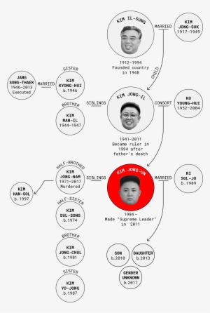 *north Korea's Secrecy Makes It Difficult To Verify - Kim Jong