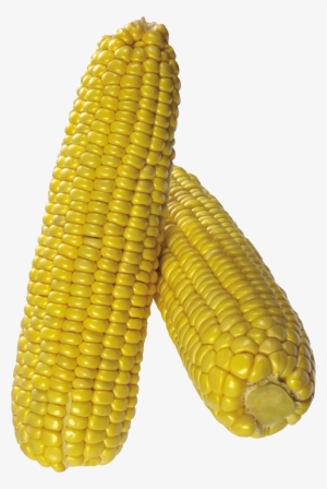 Corn Png Image - Corn With Transparent Background