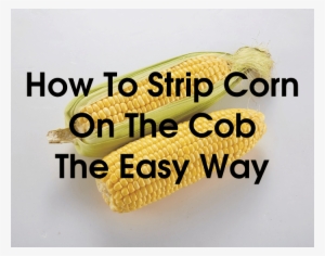 Corn On The Cob - Sleep