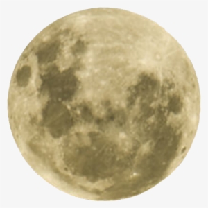 About - Moon From New Zealand