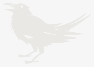 Trc Raven Light - Perching Bird