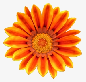 Orange Flower Clipart - Orange Flower Clip Art