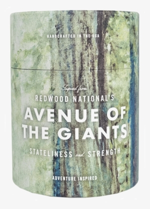 National Park Candle - Ethics Supply Candle | Redwood National's Avenue