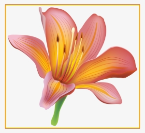 Unbelievable Flower Png Best Web Image Of - Lily Clipart