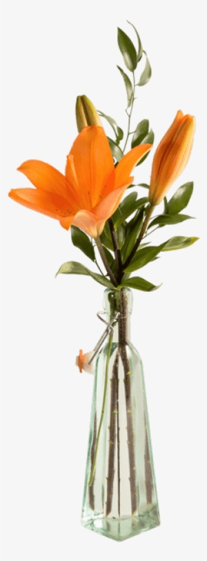 Lily Bottle - Flower Bottle Png
