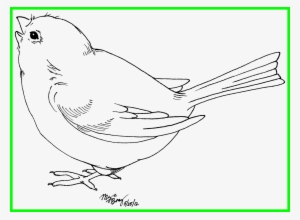 Astonishing Sweet Baby Bird Clip Art Transparent - Black And White Drawing Of A Bird