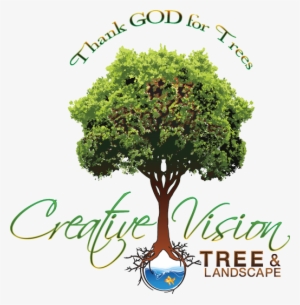 Creative Vision Tree & Landscape Services Logo - Abstract Banner Background Svg