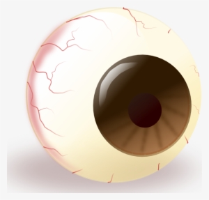 Ecuabron Brown Eye Clip - Bulbo Oculare Png