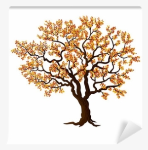 Vector Graphics