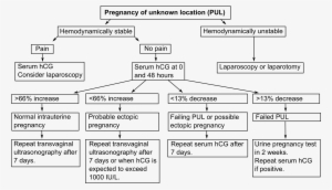 Algorithm In Pregnancy Of Unknown Location - Pregnancy Of Unknown Location Hcg Levels