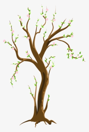 Spring Tree Png Clipart Picture