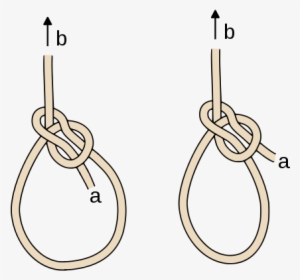 Comparison Of Standard Bowline And Cowboy Bowline (right) - Ashley Book Of Knots Bowline Knot