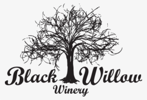Black Willow Winery Black Willow Winery - Black Willow Black And White