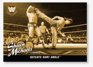 Close Zoom - Shawn Michaels