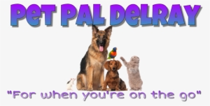 Pet Pal Your Delray Beach Pet Sitting Service - Viscomascota Cepillo Aspirador Pelos De Mascota