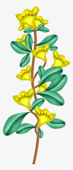 82 Fantasy Easter - Caesalpinia