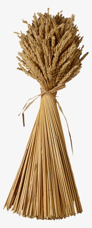 Grain Clipart Wheat Straw - Finding Fullness Again: What The Book Of Ruth Teaches