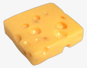 Swiss Cheese - גבינה עם חורים