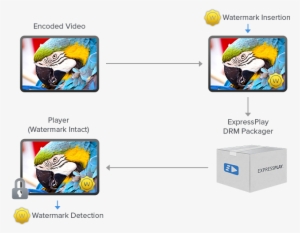 A Unique Watermark Is Applied To Each Video Stream - Cartoon