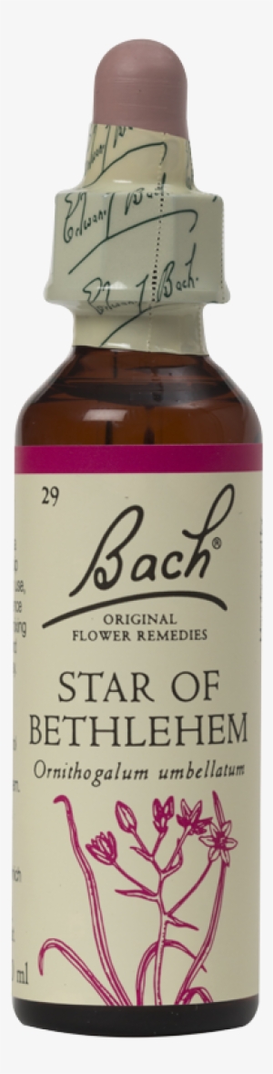 Star Of Bethlehem - Bach Flower Remedies Clematis Flower Essence - 20 Ml